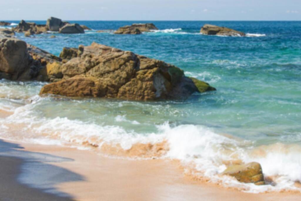 Le Petit Cote Ouest - Appt Dans Les Pins Pres De La Plage Les Sables-dʼOlonne Buitenkant foto