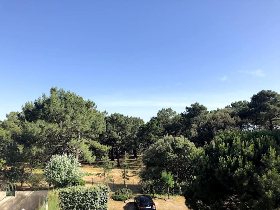Le Petit Cote Ouest - Appt Dans Les Pins Pres De La Plage Les Sables-dʼOlonne Buitenkant foto